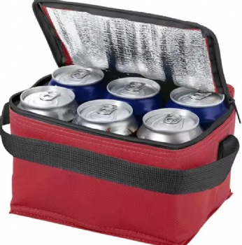 Cooler Bag
